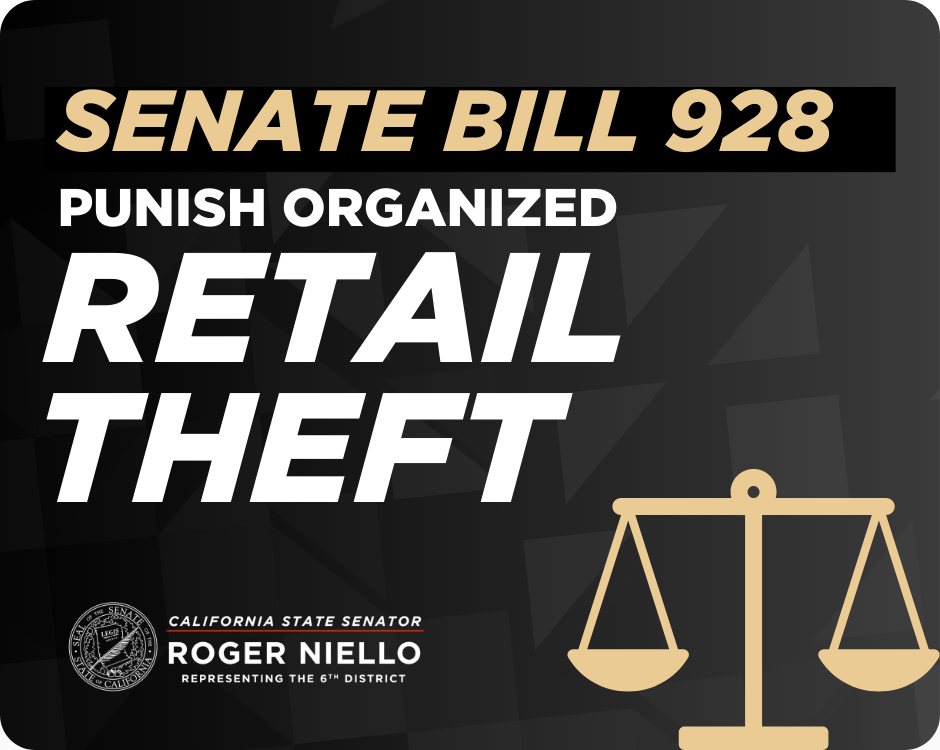 Punish Organized Retail Theft
