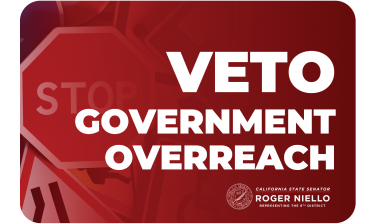 Veto Government Overreach