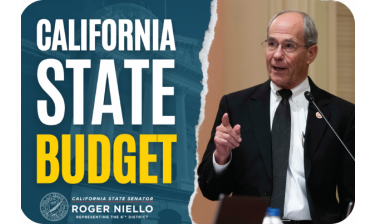 CA State Budget Niello
