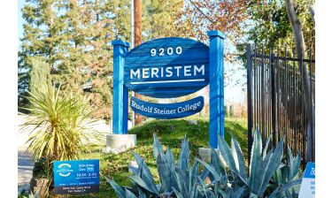 Tour of Meristem