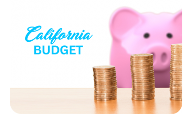 California Budget Needs Review